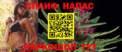 индика Заволжье