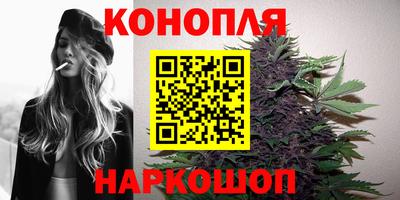 стафф Заводоуковск