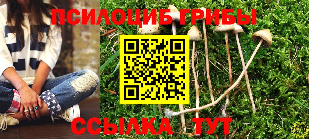 Псилоцибиновые грибы GOLDEN TEACHER Набережные Челны