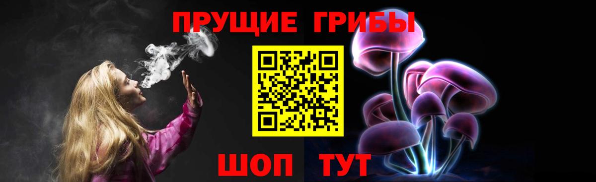 Галлюциногенные грибы Psilocybe  Псилоцибиновые грибы прущие грибы  Вход с VPN  Набережные Челны 
